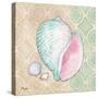 Serene Seashells II-Paul Brent-Stretched Canvas