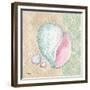 Serene Seashells II-Paul Brent-Framed Premium Giclee Print