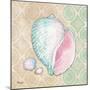 Serene Seashells II-Paul Brent-Mounted Premium Giclee Print