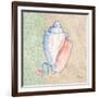 Serene Seashells III-Paul Brent-Framed Art Print