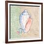 Serene Seashells III-Paul Brent-Framed Art Print