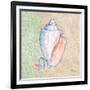 Serene Seashells III-Paul Brent-Framed Art Print