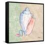 Serene Seashells III-Paul Brent-Framed Stretched Canvas