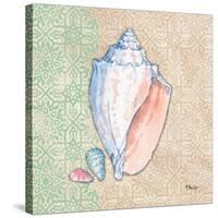 Serene Seashells III-Paul Brent-Stretched Canvas