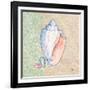 Serene Seashells III-Paul Brent-Framed Art Print