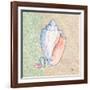 Serene Seashells III-Paul Brent-Framed Art Print