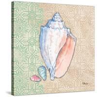 Serene Seashells III-Paul Brent-Stretched Canvas