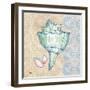 Serene Seashells IV-Paul Brent-Framed Art Print