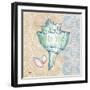 Serene Seashells IV-Paul Brent-Framed Art Print