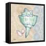 Serene Seashells IV-Paul Brent-Framed Stretched Canvas