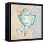 Serene Seashells IV-Paul Brent-Framed Stretched Canvas