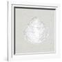 Serene Shells I Tan-James Wiens-Framed Art Print