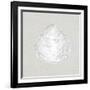 Serene Shells I Tan-James Wiens-Framed Art Print