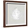 Serene Shells I Tan-James Wiens-Framed Art Print