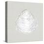 Serene Shells I Tan-James Wiens-Stretched Canvas