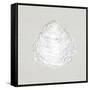 Serene Shells I Tan-James Wiens-Framed Stretched Canvas