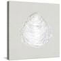 Serene Shells I Tan-James Wiens-Stretched Canvas