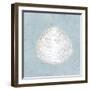 Serene Shells I-James Wiens-Framed Art Print