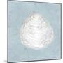 Serene Shells I-James Wiens-Mounted Art Print