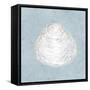 Serene Shells I-James Wiens-Framed Stretched Canvas