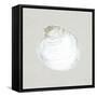 Serene Shells II Tan-James Wiens-Framed Stretched Canvas