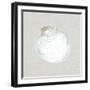 Serene Shells II Tan-James Wiens-Framed Art Print