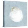 Serene Shells II-James Wiens-Stretched Canvas
