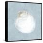 Serene Shells II-James Wiens-Framed Stretched Canvas