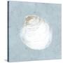 Serene Shells II-James Wiens-Stretched Canvas