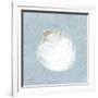 Serene Shells II-James Wiens-Framed Art Print