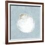 Serene Shells II-James Wiens-Framed Art Print