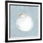 Serene Shells II-James Wiens-Framed Art Print