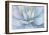 Serene Succulent-Kimberly Allen-Framed Art Print