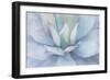 Serene Succulent-Kimberly Allen-Framed Art Print