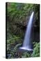 Serene Waterfall-Logan Thomas-Stretched Canvas