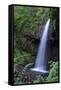 Serene Waterfall-Logan Thomas-Framed Stretched Canvas