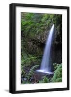 Serene Waterfall-Logan Thomas-Framed Photographic Print