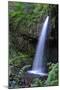 Serene Waterfall-Logan Thomas-Mounted Photographic Print