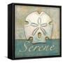 Serene-Todd Williams-Framed Stretched Canvas