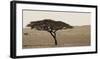 Serengeti Horizons I-Jeff/Boyce Maihara/Watt-Framed Giclee Print