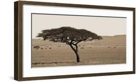 Serengeti Horizons I-Jeff/Boyce Maihara/Watt-Framed Giclee Print