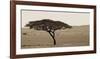 Serengeti Horizons I-Jeff/Boyce Maihara/Watt-Framed Giclee Print