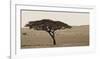 Serengeti Horizons I-Jeff/Boyce Maihara/Watt-Framed Giclee Print