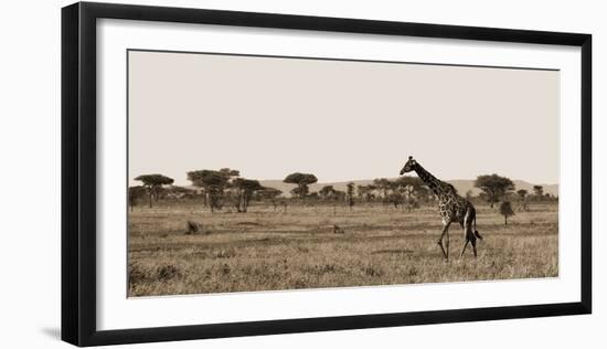 Serengeti Horizons II-Jeff/Boyce Maihara/Watt-Framed Giclee Print