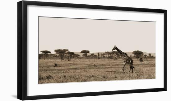 Serengeti Horizons II-Jeff/Boyce Maihara/Watt-Framed Giclee Print