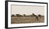 Serengeti Horizons II-Jeff/Boyce Maihara/Watt-Framed Giclee Print