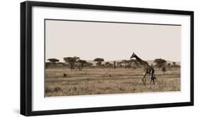 Serengeti Horizons II-Jeff/Boyce Maihara/Watt-Framed Giclee Print