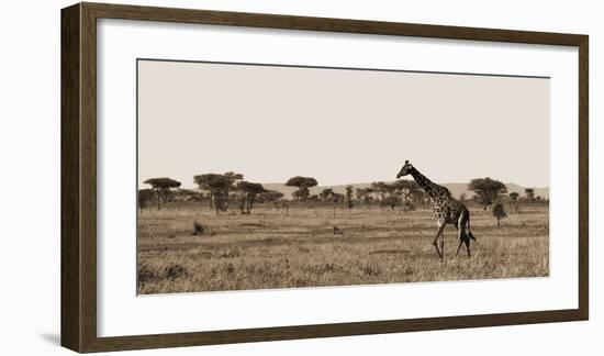 Serengeti Horizons II-Jeff/Boyce Maihara/Watt-Framed Giclee Print