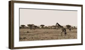 Serengeti Horizons II-Jeff/Boyce Maihara/Watt-Framed Giclee Print