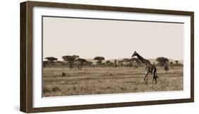 Serengeti Horizons II-Jeff/Boyce Maihara/Watt-Framed Giclee Print